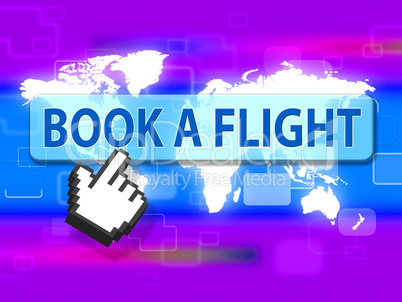 Book Flight Indicates Reserved Plane And Travel