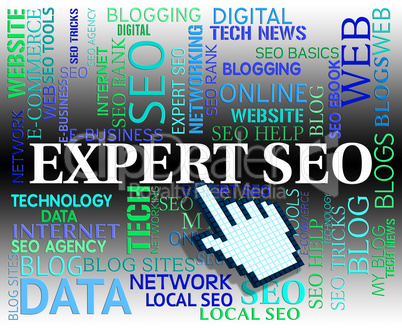 Expert Seo Shows Search Engines And Ability