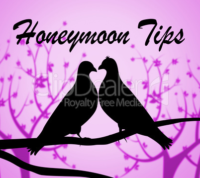 Honeymoon Tips Means Vacational Destinations And Guidance