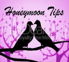 Honeymoon Tips Means Vacational Destinations And Guidance