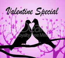 Valentine Special Indicates Valentines Day And Bargains