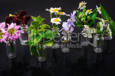 Jars with plants