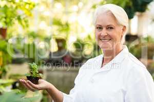 Smiling female scientist holding sapling