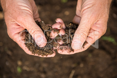 Cropped image of gardener holding dirt at garden