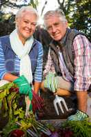 Portrait of happy couple gardeners with produce in farm