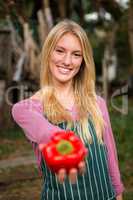 Portrait of happy gardener offering fresh red bell pepper at gar