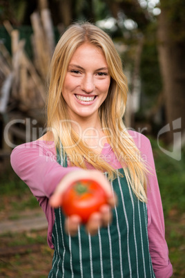 Portrait of happy gardener offering fresh tomato at garden