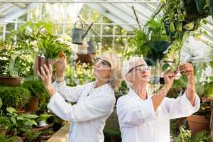Female scientists examining potted plants