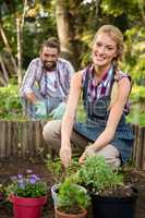 Portrait of happy gardener with colleague planting at garden