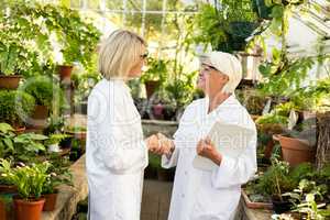 Female scientists greeting each other at greenhouse