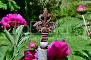 Gartenschmuck und rote Pfingstrosen