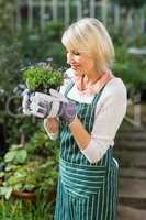 Female gardener smelling potted flowers