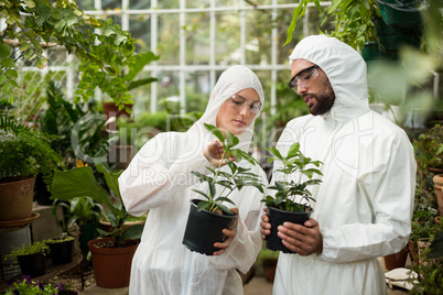Scientists in clean suit examining potted plants