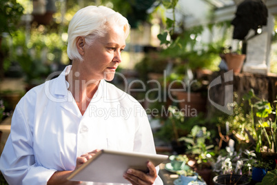 Female scientist observing plants at greenhouse