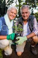 Portrait of happy gardeners holding potted plant at garden