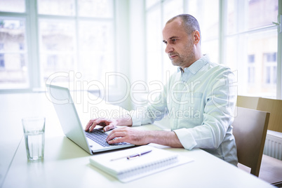 Businessman using laptop