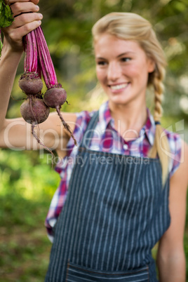 Happy gardener holding beets at garden