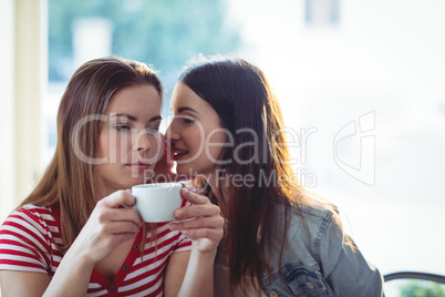 Female friends gossiping at cafe