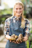 Happy female gardener holding harvested potatoes