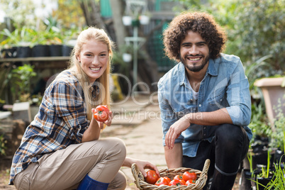 Happy coworkers with tomato basket