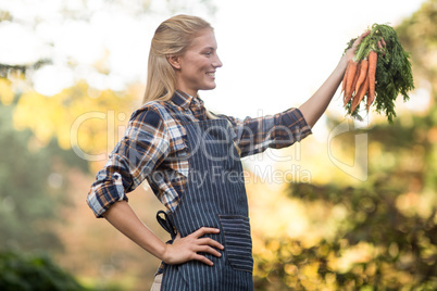 Smiling gardener looking at harvested carrots