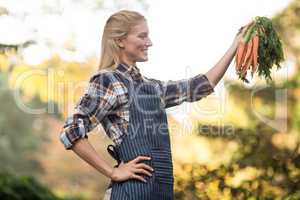 Smiling gardener looking at harvested carrots