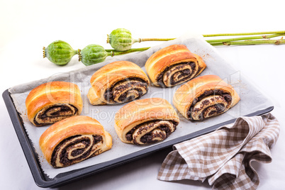 Quick Poppy Seed Rolls