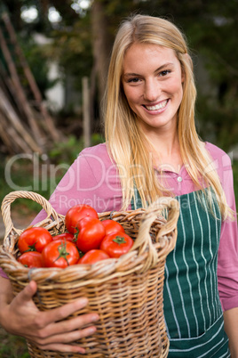 Portrait of happy gardener carrying tomatoes basket at garden