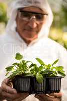 Male scientist in clean suit examining plants