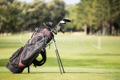 Filled golf bag with golf club