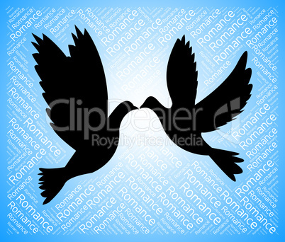 Dating Doves Indicates Sweetheart Relationship And Internet