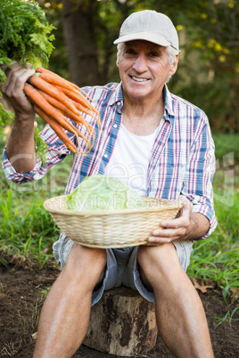 Portrait of man with carrots and cabbage at garden