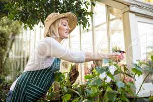 Woman spraying water on plants