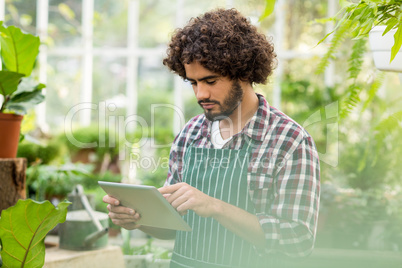 Male gardener using graphic tablet