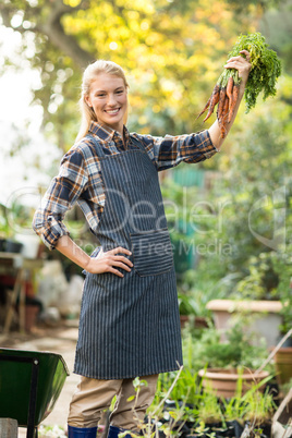 Portrait of female gardener holding harvested carrots