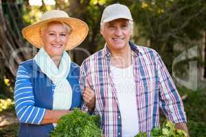 Portrait of happy couple with vegetables at garden