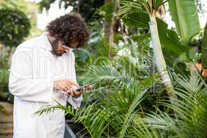 Scientist using digital tablet while examining plants