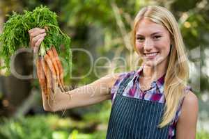 Portrait of beautiful gardener with carrots at garden