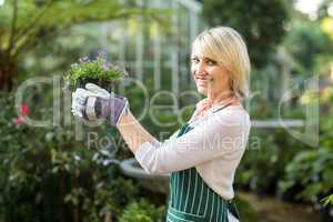 Portrait of mature female gardener holding flowering plant