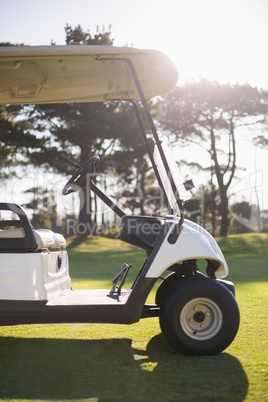 White golf buggy on field