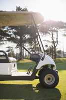 White golf buggy on field