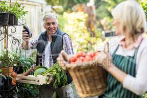 Male gardener with vegetables looking at woman