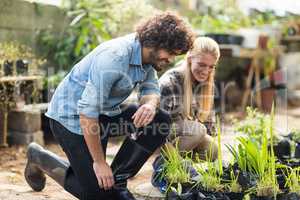 Coworkers inspecting plants