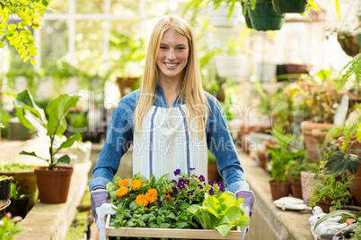 Female owner holding flowers crate at greenhouse