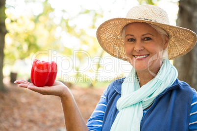 Portrait of happy gardener with red bell peppers at garden