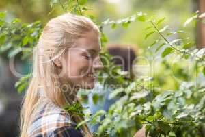 Female gardener examining plants