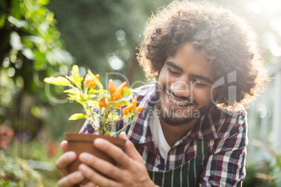 Gardener holding potted plant outside greenhouse