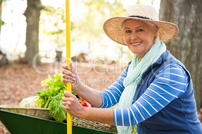 Portrait of confident gardener with tool and wheelbarrow at gard