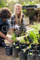 Gardeners inspecting potted plants