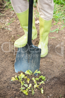 Low section of gardener digging with shovel at garden